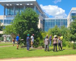 CBLP Level 1, class retake fee