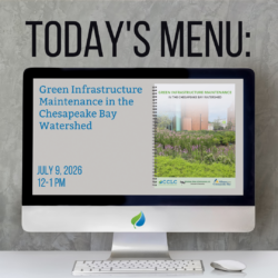 Today’s Menu, Lunchtime Webinar
