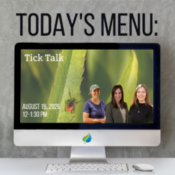 Today’s Menu, Lunchtime Webinar