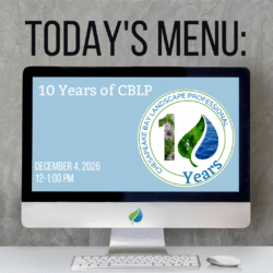 Today’s Menu, Lunchtime Webinar