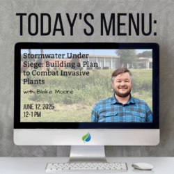 Today’s Menu, Lunchtime Webinar