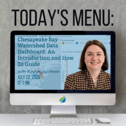 Today’s Menu, Lunchtime Webinar