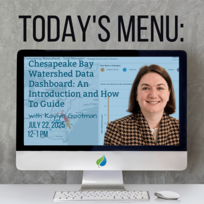 Today’s Menu, Lunchtime Webinar
