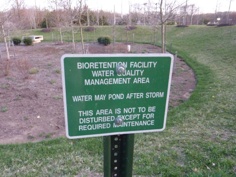 P1130567 Copy 768x576