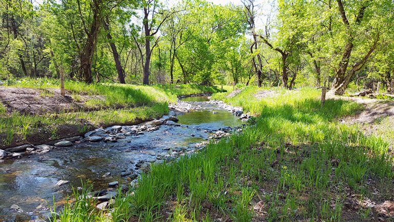 20160508 103738 redd 768x432