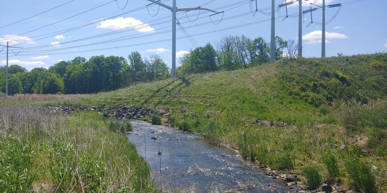 HammondBranch SteepSlopeSeed 768x384