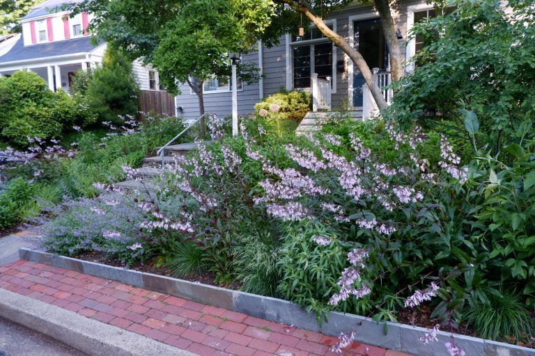 44F12EA2 87DE 4F39 B30E 74ABEED25AD2 768x512