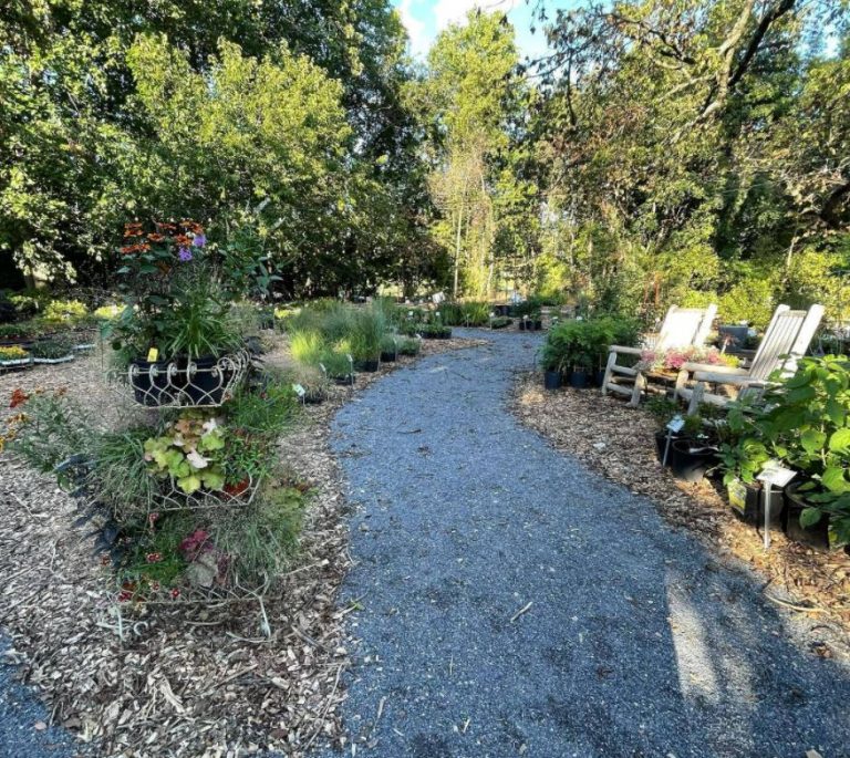 Nursery path Nursery path