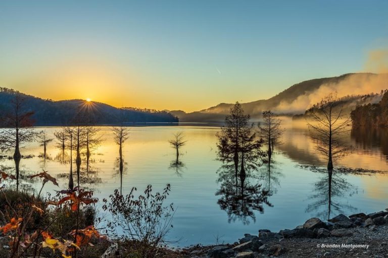 0D806BE8 0AFA 49D3 A3AD 55C17B7DC3BD 768x512