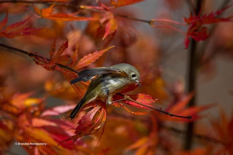 6A1E5230 7471 4CAD A9A4 9C836F9EABED 768x513