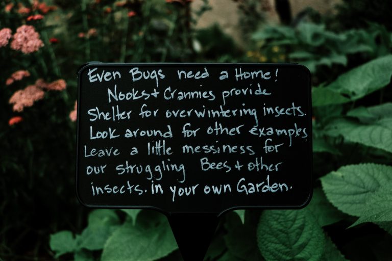 seyi ariyo YElkMYaWKc8 unsplash 768x512