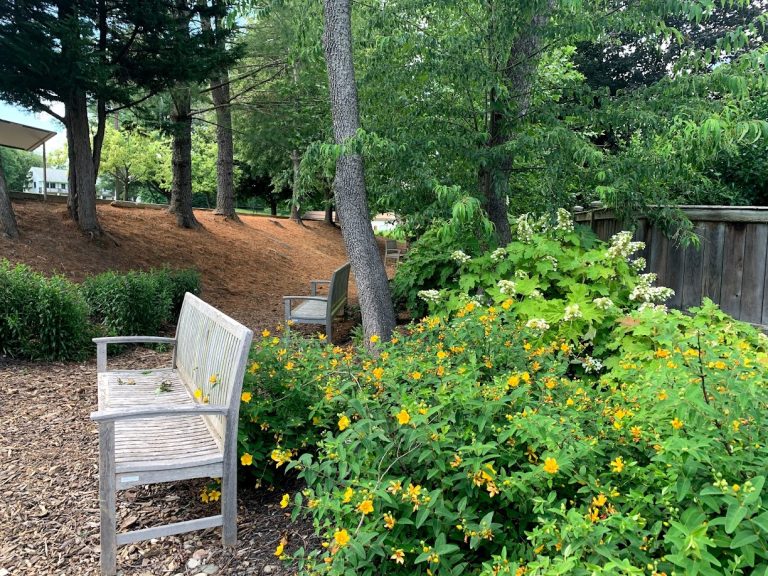 FaithCongregations 768x576