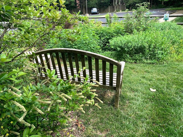 FaithCongregations3 768x576