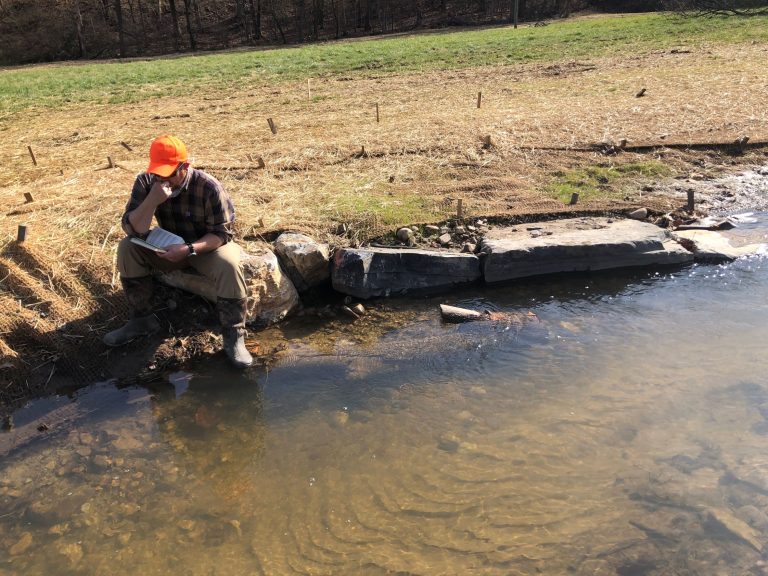 IMG 2791 002 Edit 768x576