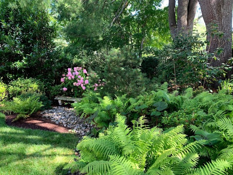 ShadeGarden5 768x576