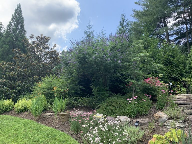 UNADJUSTEDNONRAW thumb 2ea5 768x576