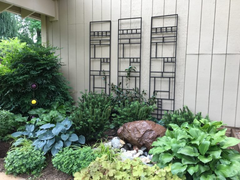 thumb IMG 4064 1024 768x576