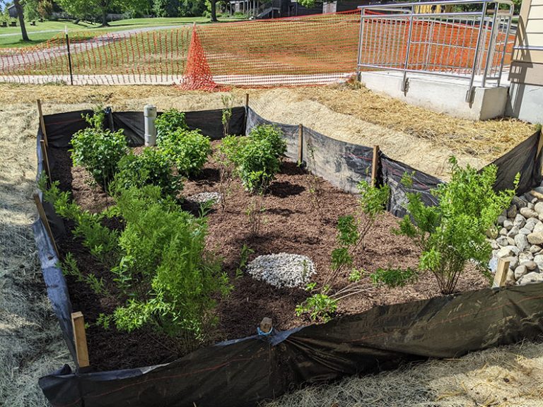 Spring Install 2022 Rain Garden 2 768x576