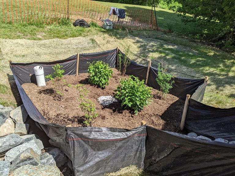 Spring Install 2022 Rain Garden 3 768x576