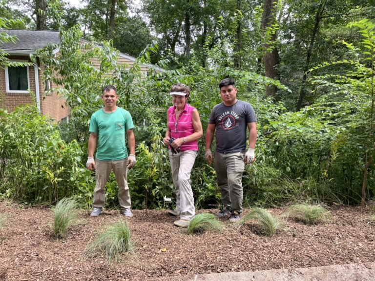 3C0188DF 403D 401C A873 D7C43DB8B07C 1 105 c 768x577