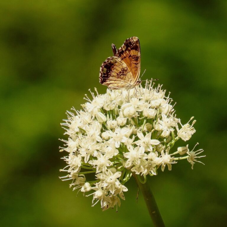 IMG 1627 copy 768x768