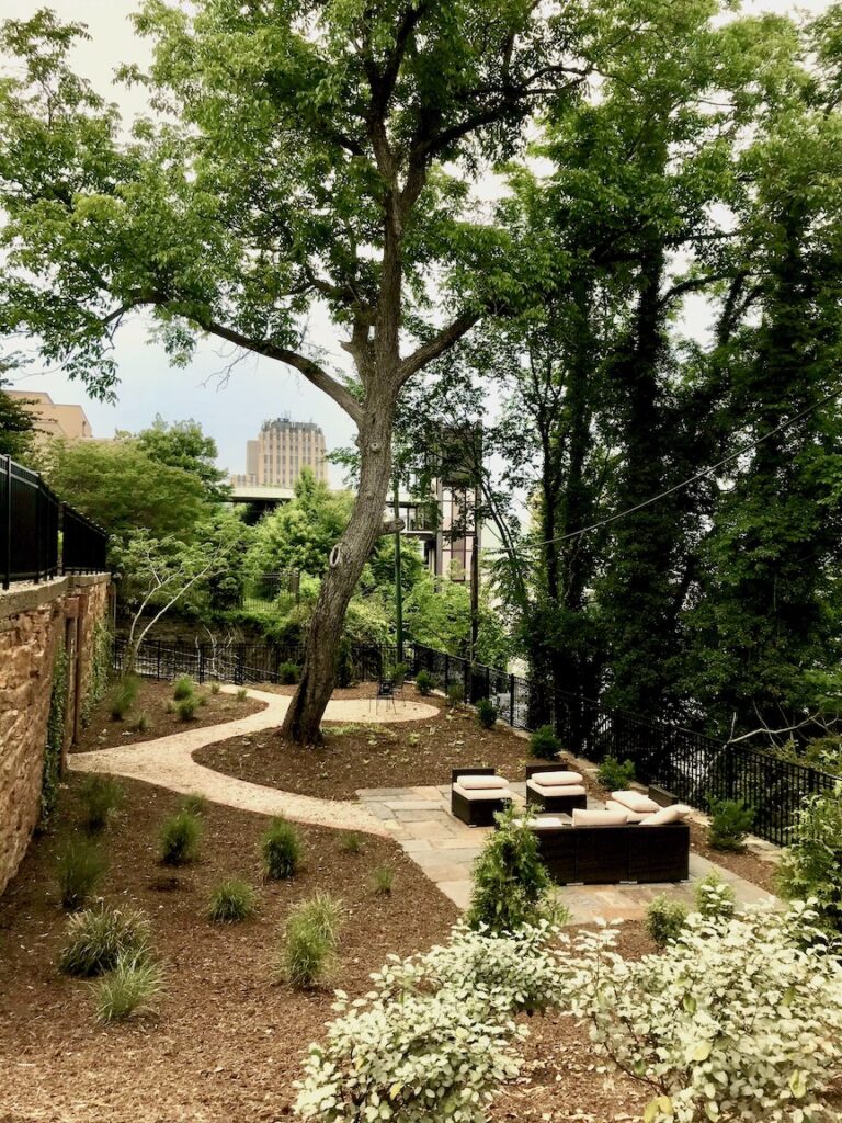 IMG 4985 copy 768x1024