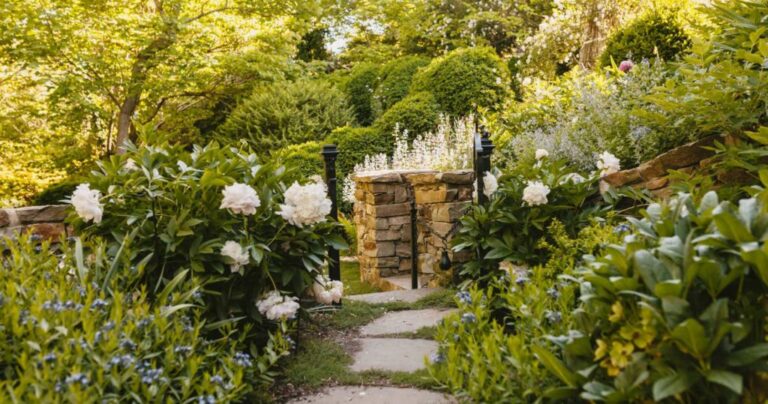 about 1024x539  768x404