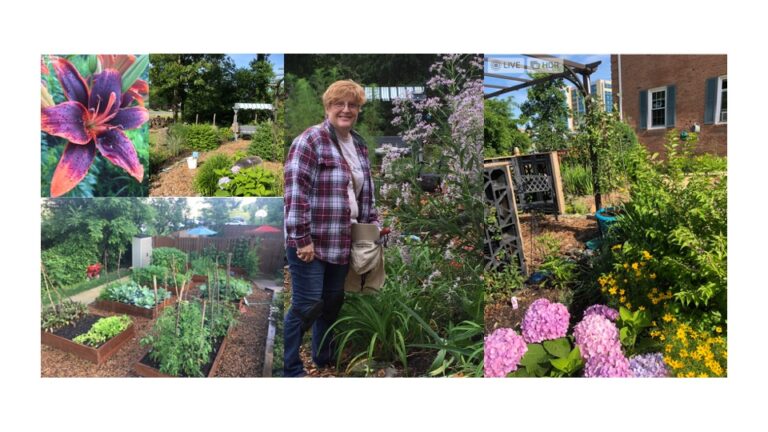 Presentation1 768x432