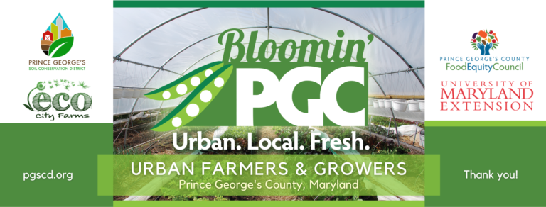 BloominPGC Closing Slide 768x292