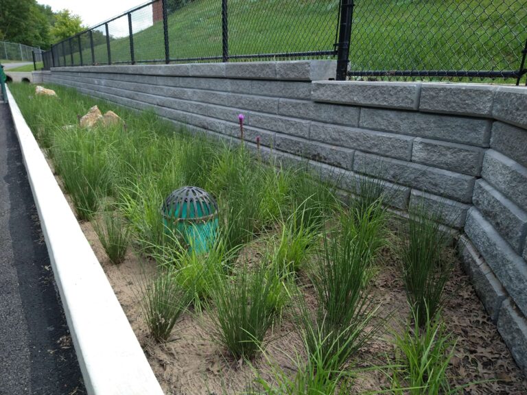 IMG 20210628 111619401 768x576