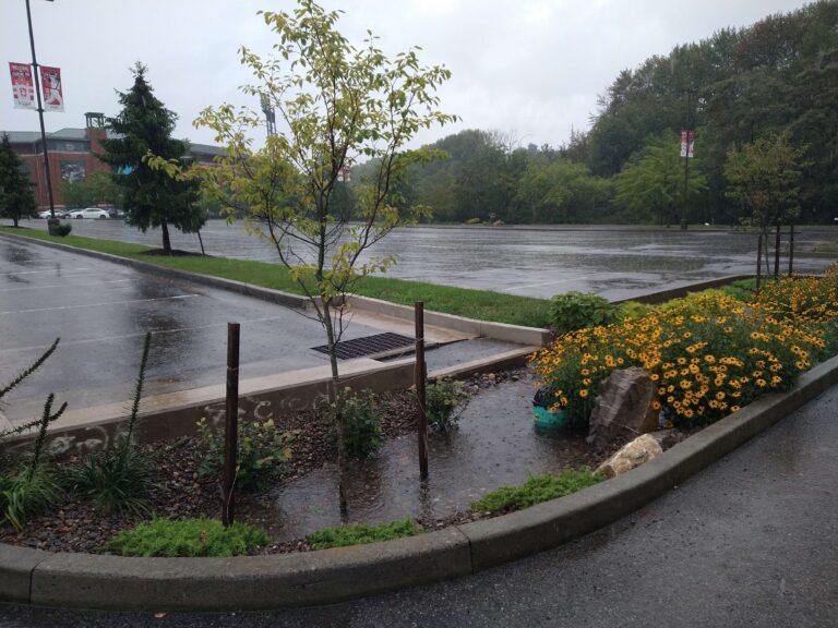 IMG 20210901 140426666 4000 768x576