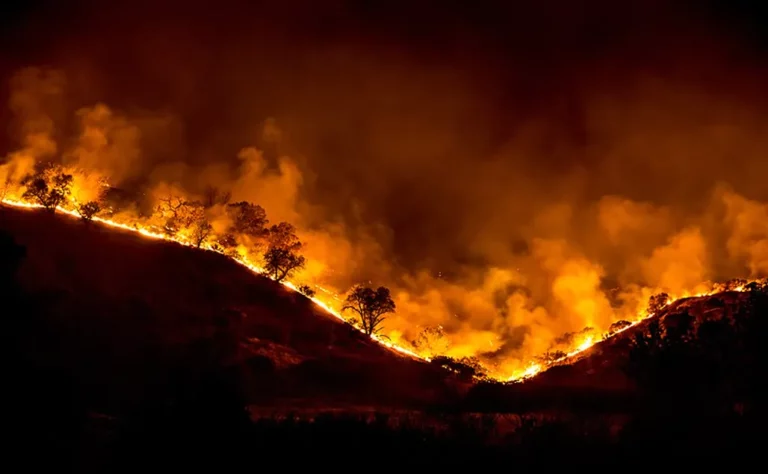 Fire Natures Fury 768x474