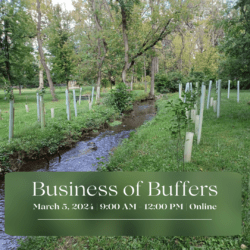 Business of Buffers Webinar