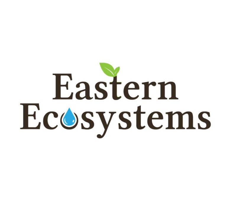 EE square snip 768x708