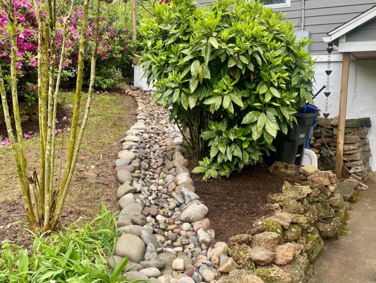 Mt.RainierDryWell 768x579