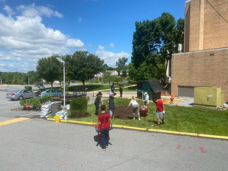 St.MarysConservation.Install 768x576