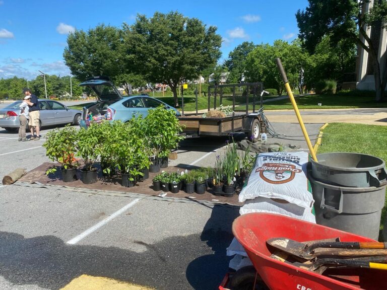 St.MarysInstall 768x576