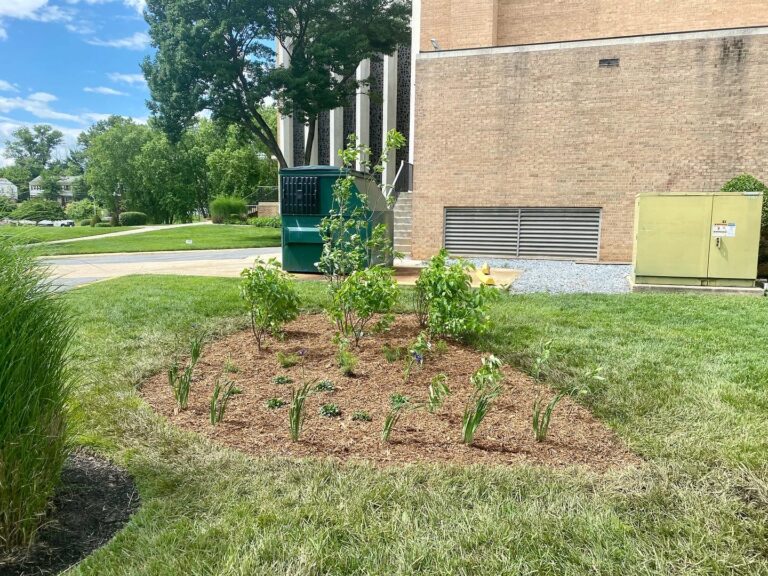 St.Marys NewInstall 768x576