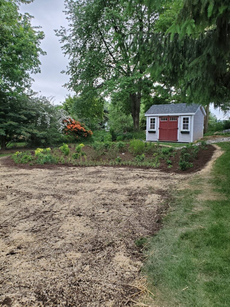 Resized 20220526 1704361 768x1024