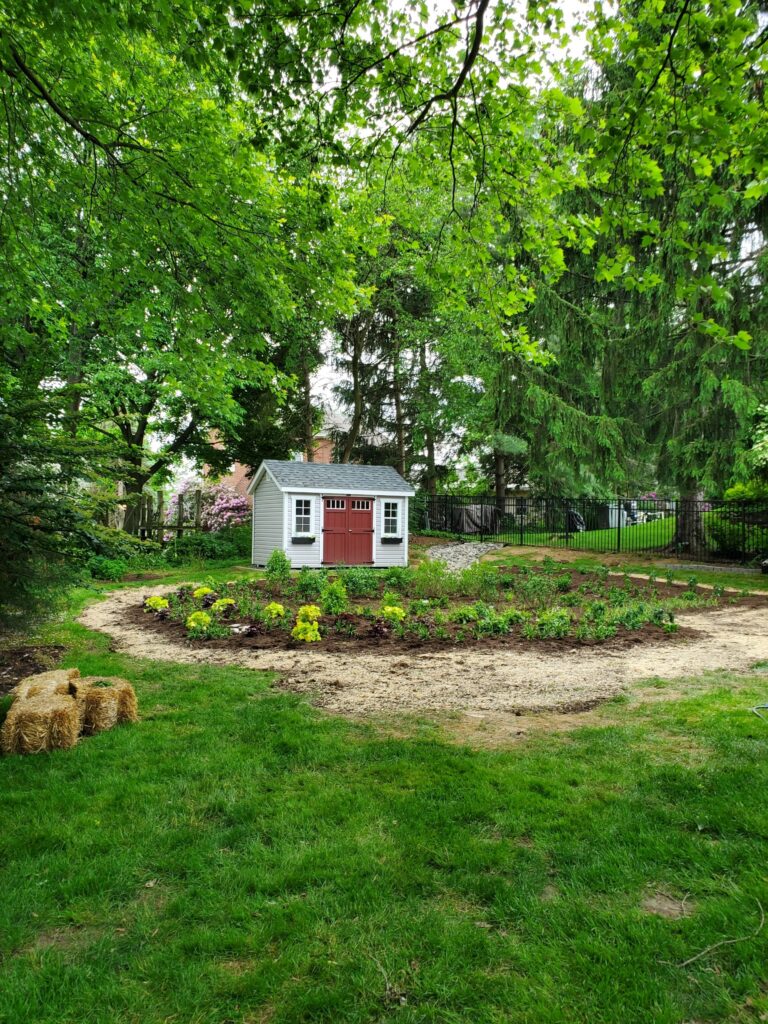 Resized 20220526 170506 768x1024