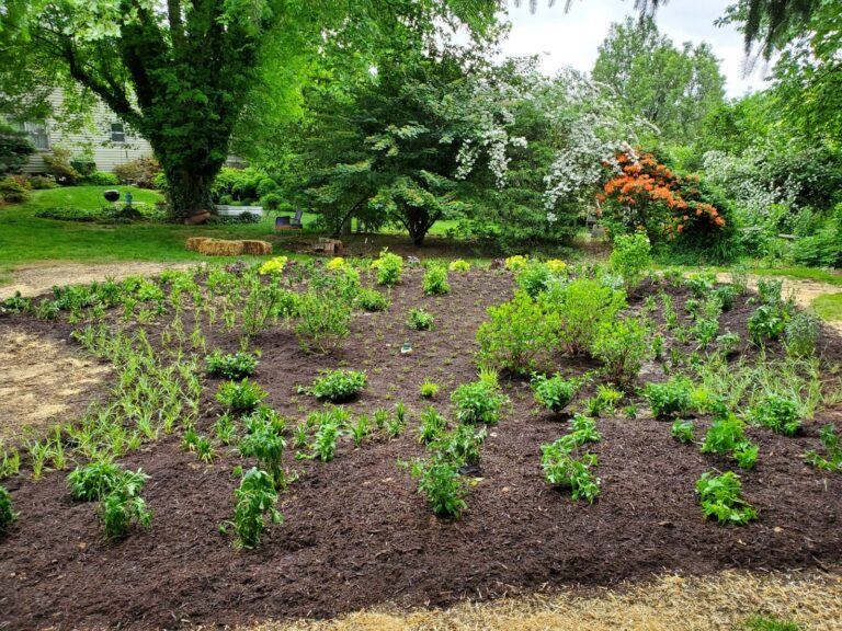 Resized 20220526 173307 768x576