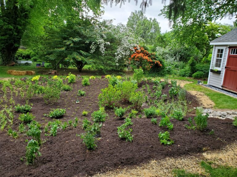 Resized 20220526 173310 768x576