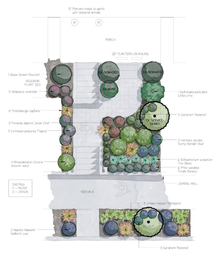 Wanner illustration 768x900