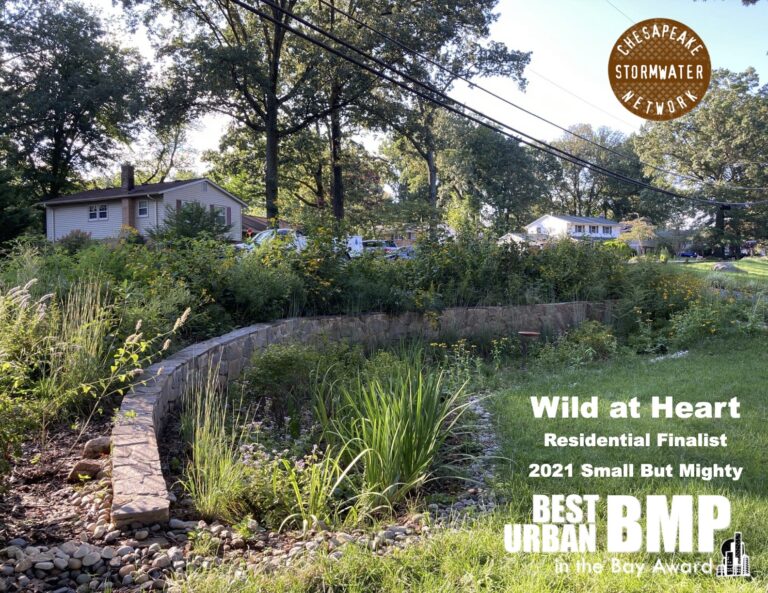 2021 03 25 BUBBA Finalist 768x593