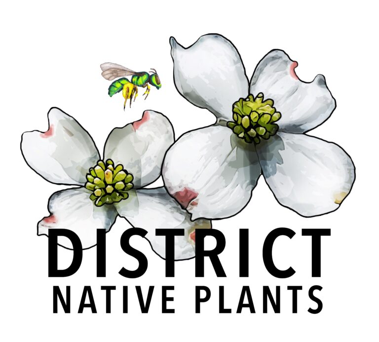 DistrictNativePlantsLogo2 768x693