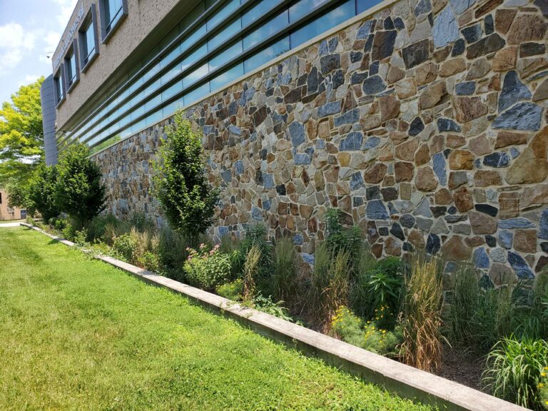 bioretention2 768x576