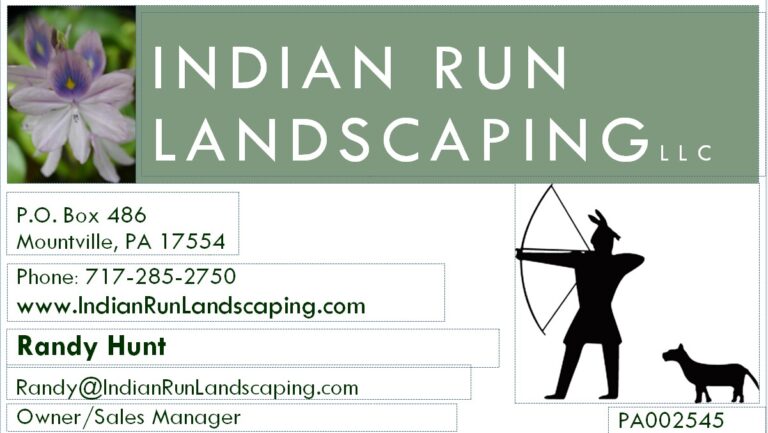 Business Card 768x433