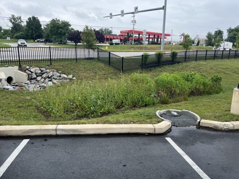 Holiday Inn Mt Joy 2024 Holiday Inn Mt Joy 2024