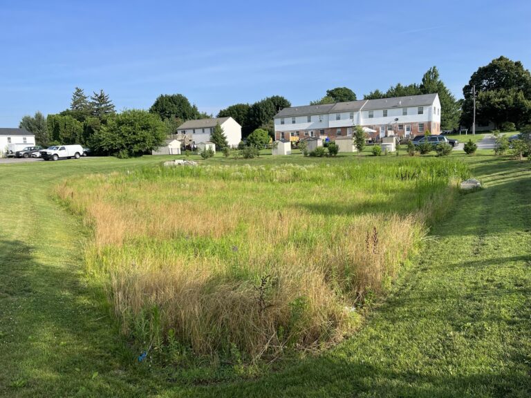 West Lampeter Park 2024 West Lampeter Park 2024