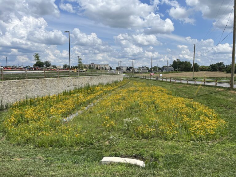 Messick's Mount Joy Bioretention Basin 2024 Messick's Mount Joy Bioretention Basin 2024